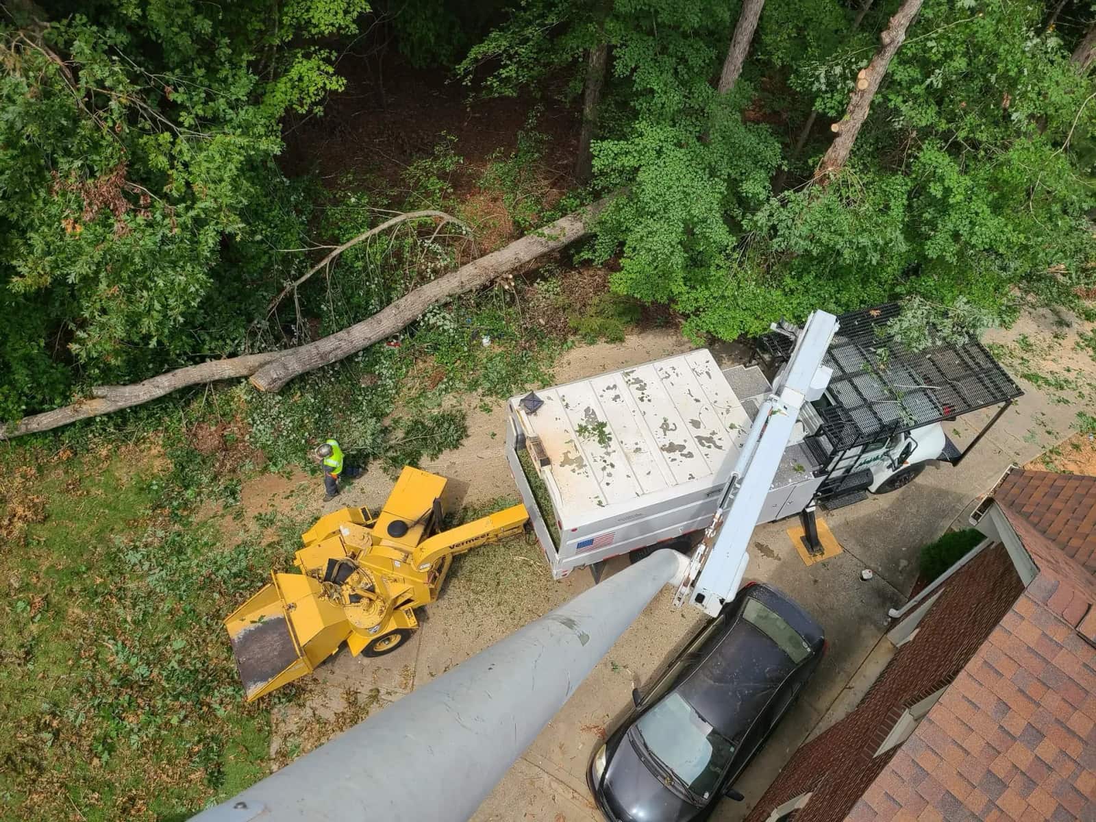 Completed tree service projects across Charlotte metro